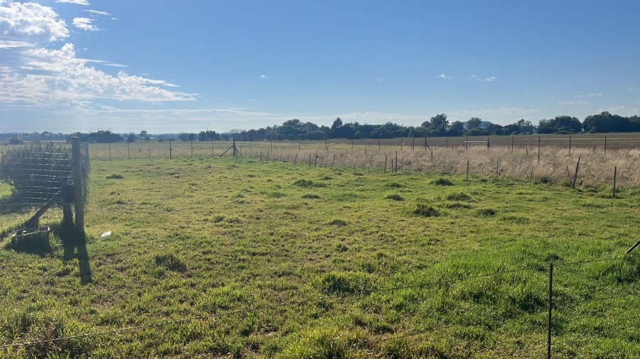 Commercial Property for Sale in Arcadia SH Free State